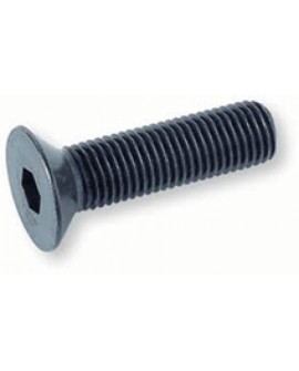 TORNILLO ALLEN C/PLANA 1/2" X 2 1/2" - Envío Gratuito