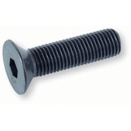 TORNILLO ALLEN C/PLANA 1/4" X 3/4" - Envío Gratuito